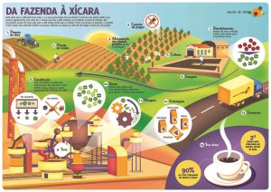 infografico