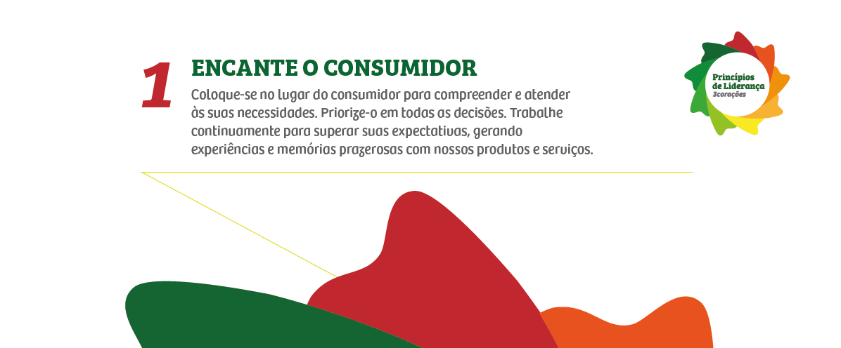 Princípios de Liderança
