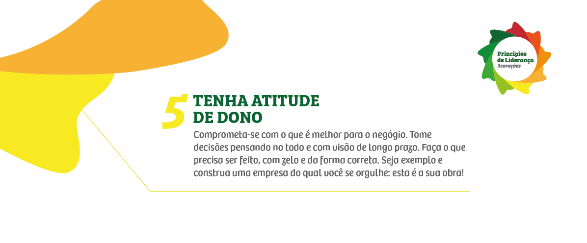 Princípios de Liderança