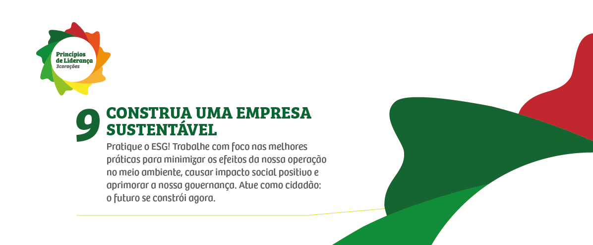 Princípios de Liderança
