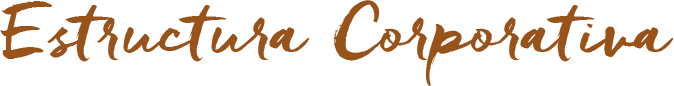 estructura
