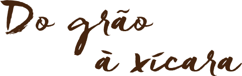Do Grão a Xícara