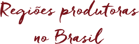 Regiões produtoras no Brasil