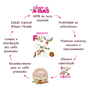ciclo